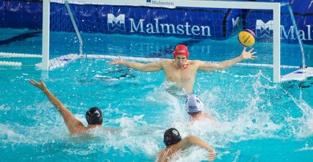Wasserball auf SPORT1