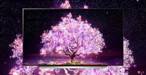 LG OLED65C19LA im Test