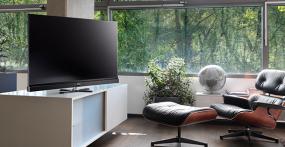 Metz Solea pro